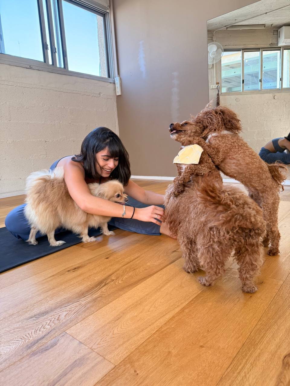 photo_1_2025-12-06_11-40-45