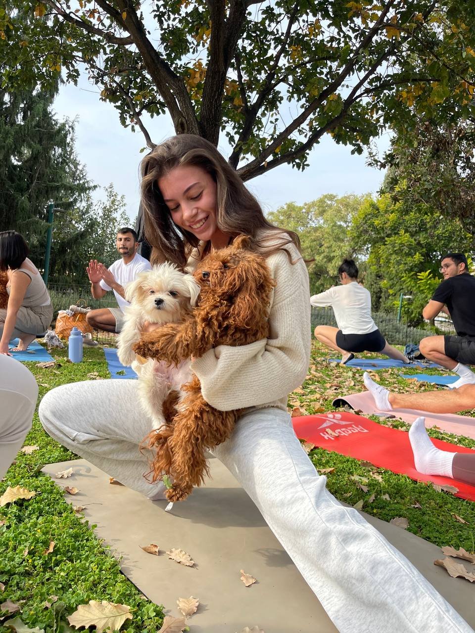 photo_4_2025-12-06_11-40-45