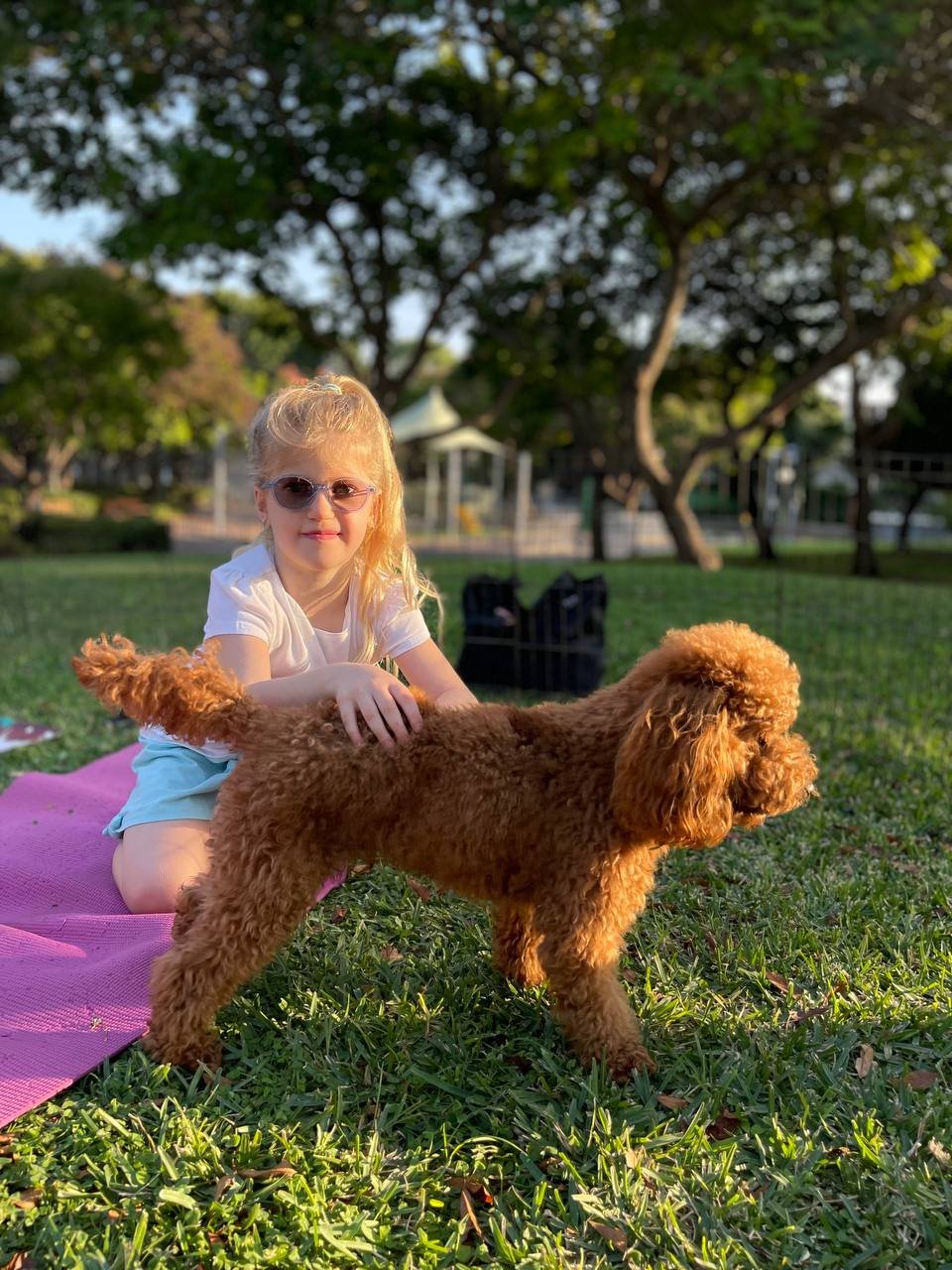 photo_8_2025-12-06_11-40-45